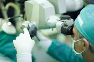 光纖成像材料與激光技術(shù) 發(fā)展脈絡(luò)、特性解析與應(yīng)用前景